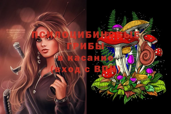 мяу мяу мука Армянск