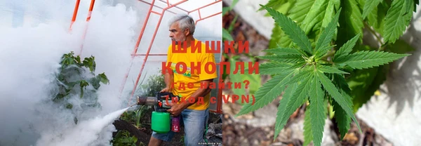 бутират Арсеньев