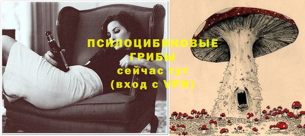 мяу мяу мука Армянск